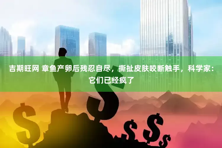 吉期旺网 章鱼产卵后残忍自尽，撕扯皮肤咬断触手，科学家：它们已经疯了